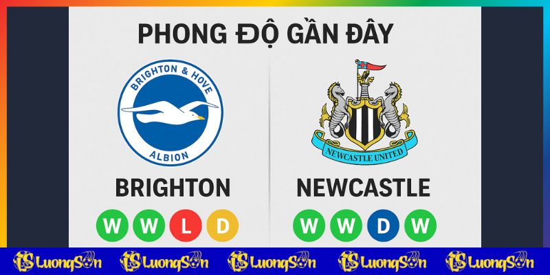 Phong độ gần đây của 2 đội Brighton vs Newcastle Phong độ gần đây của 2 đội Brighton vs Newcastle
